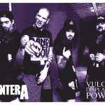 pantera3