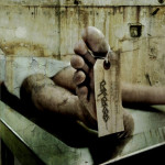 carcass