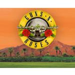 gnr-coachella-970-80